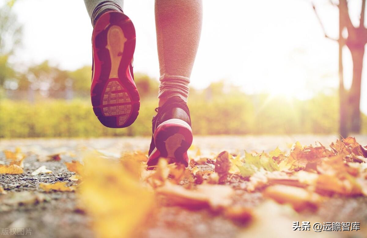 李宁作为国货里的龙头,国货崛起中国李宁