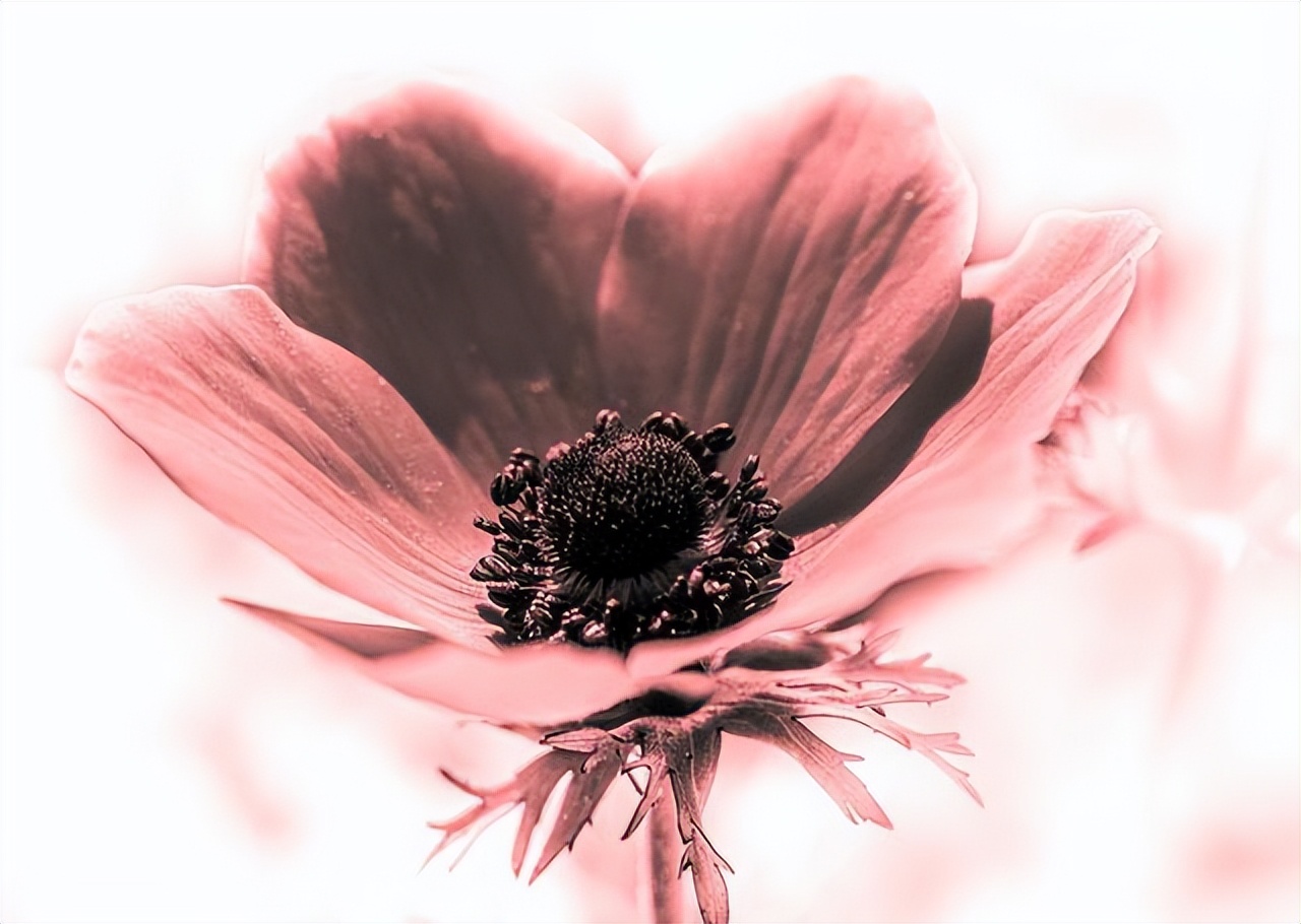 没有爱情的婚姻里，请抓住三根救命稻草