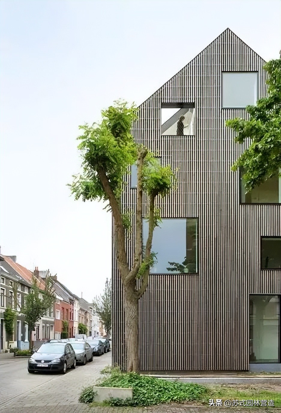 入门景观屏风,100种客厅屏风