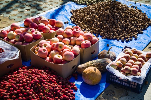 农村年赚千万创业真实案例,农村月入上万的创业方法