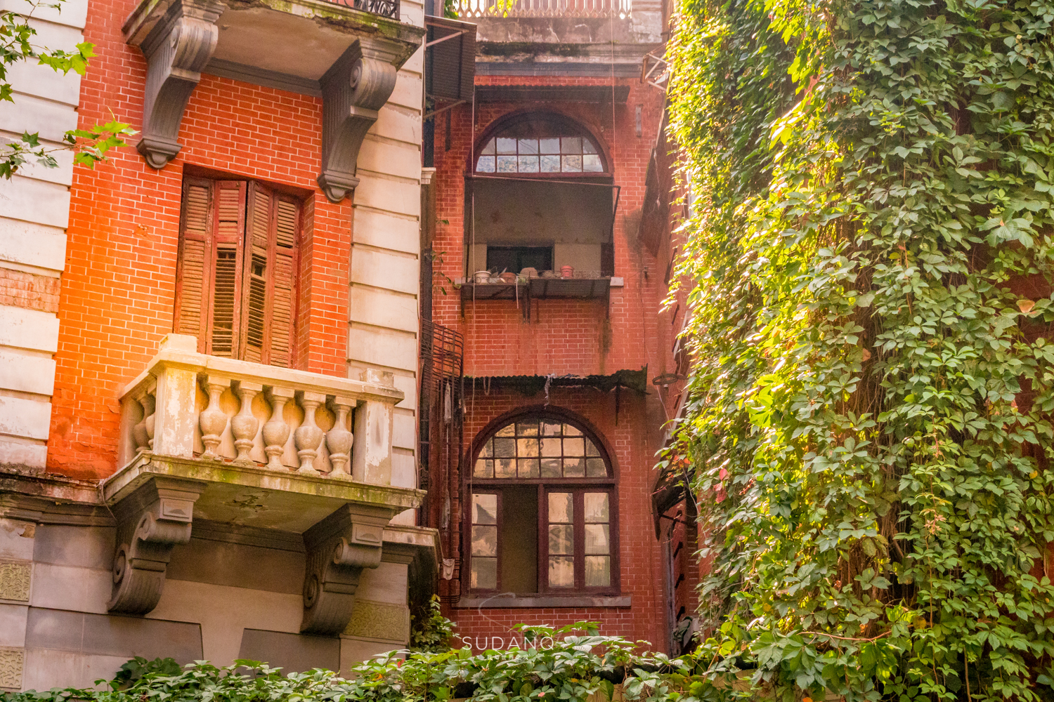 国外俩兄弟买了一栋别墅,武汉100年老房子带院子出售