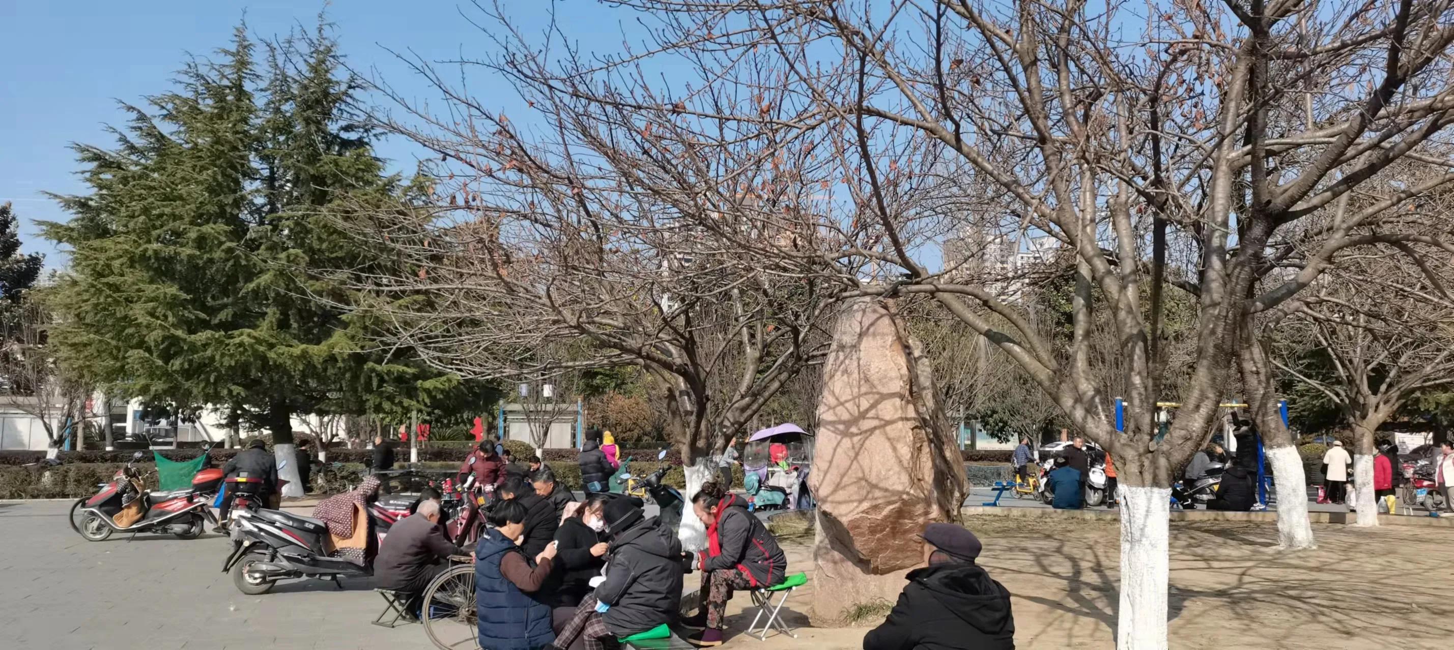 下岗女工做保姆36集,下岗女工做保姆14集