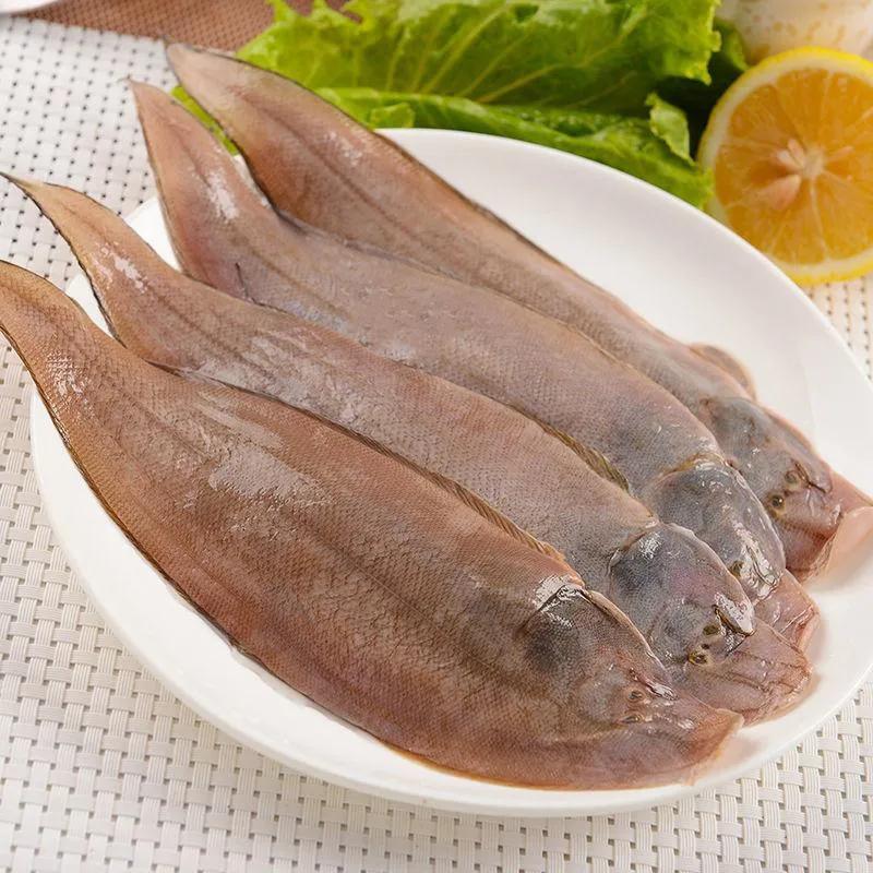 鱼类食材大全名称图片,鱼类菜谱大全100种