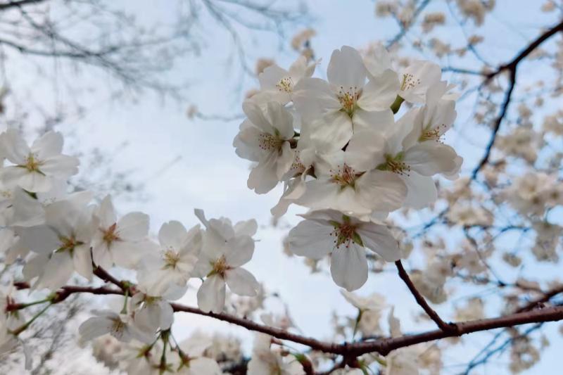 如何应对控制欲强的人,控制欲强的人最怕什么