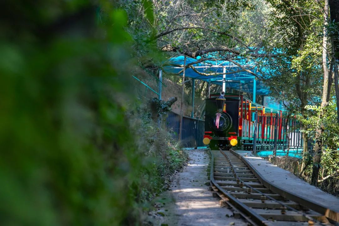 昆明旅游漂流攻略图,昆明夏季旅游攻略一日游景点
