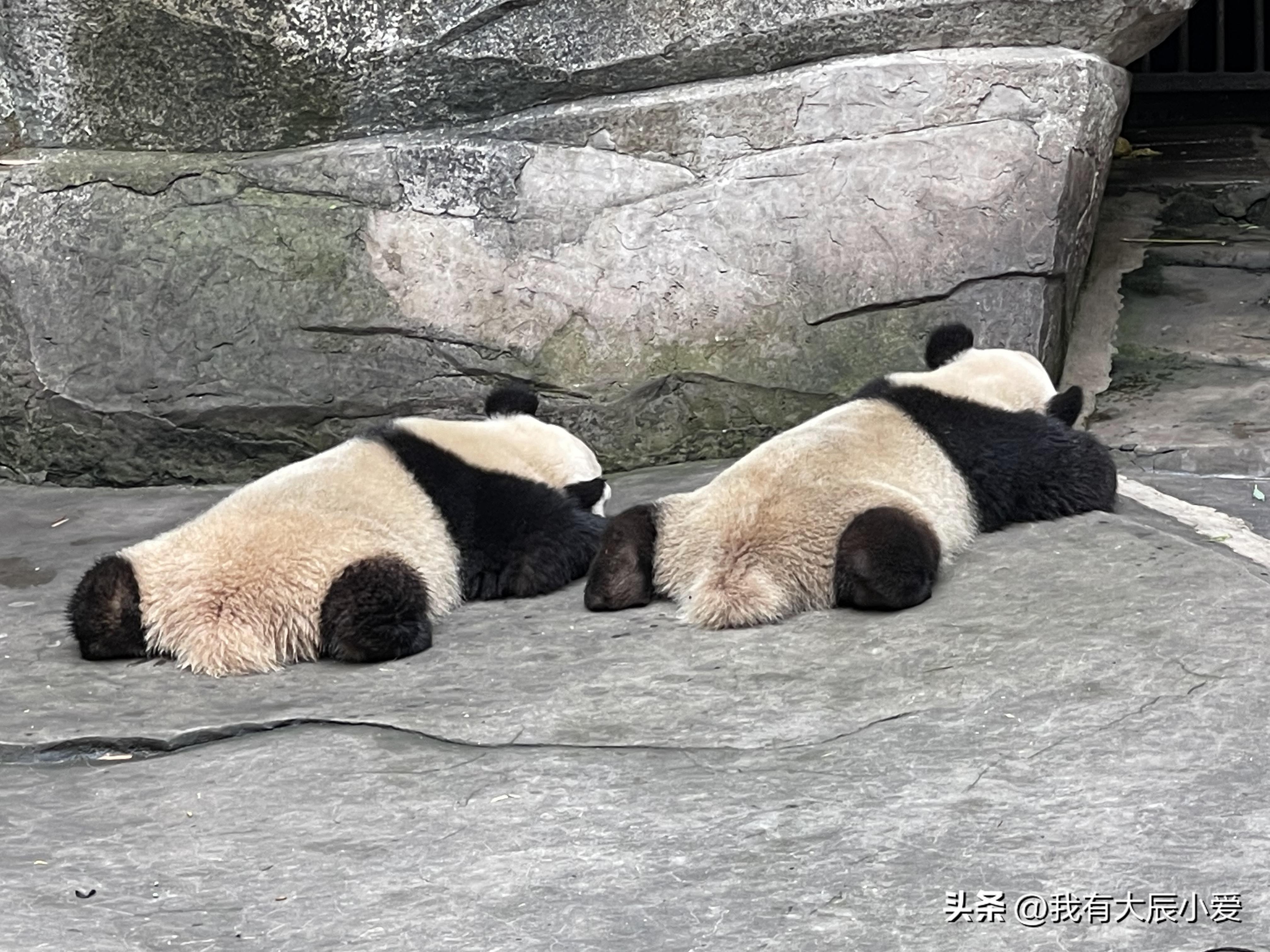 重庆不能去的区,重庆荒废城市