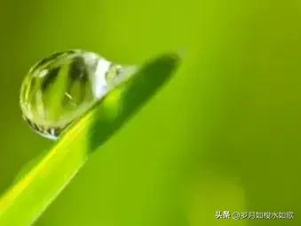 时间的小溪,时间的河流轻音乐