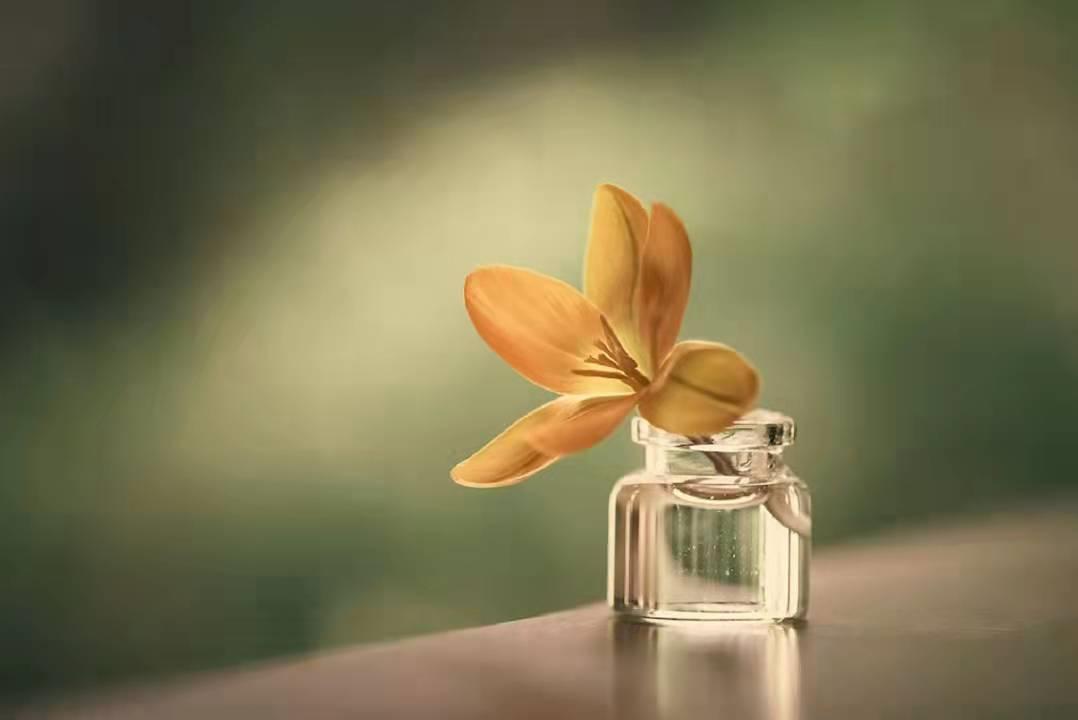 一个家庭气运不好的表现,一个家庭越来越有福气的三个迹象