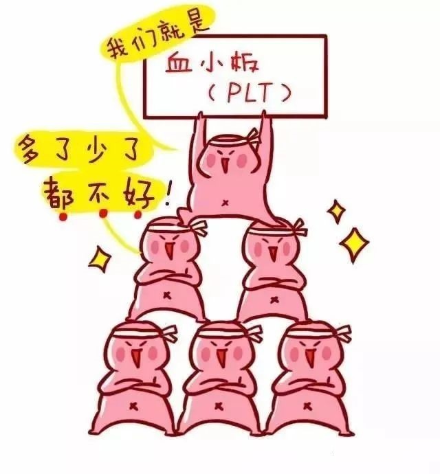 关注和呵护血小板,血小板止血卫士