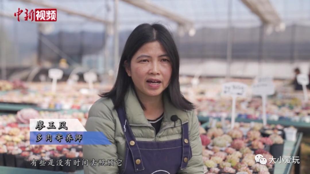 看了这些听都没听过的新兴职业,老母亲不淡定了