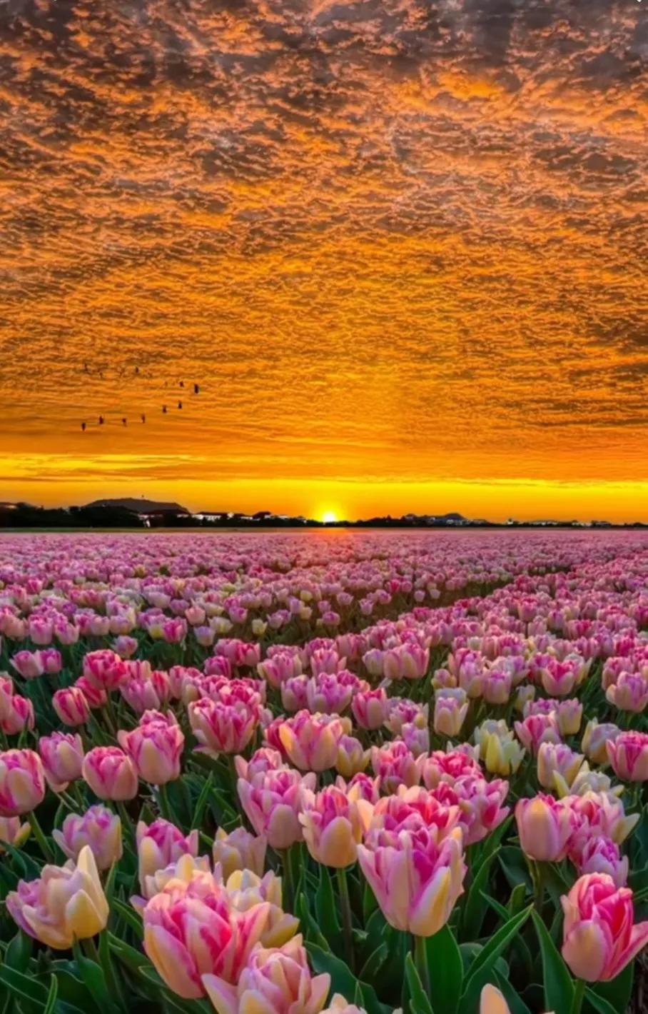 经济形势不好如何应对,经济崩溃我们应该怎么办