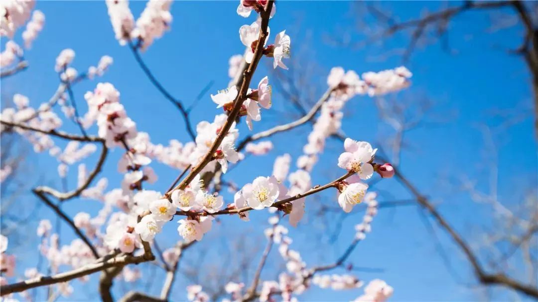 小众公园北京,北京欧式小众公园