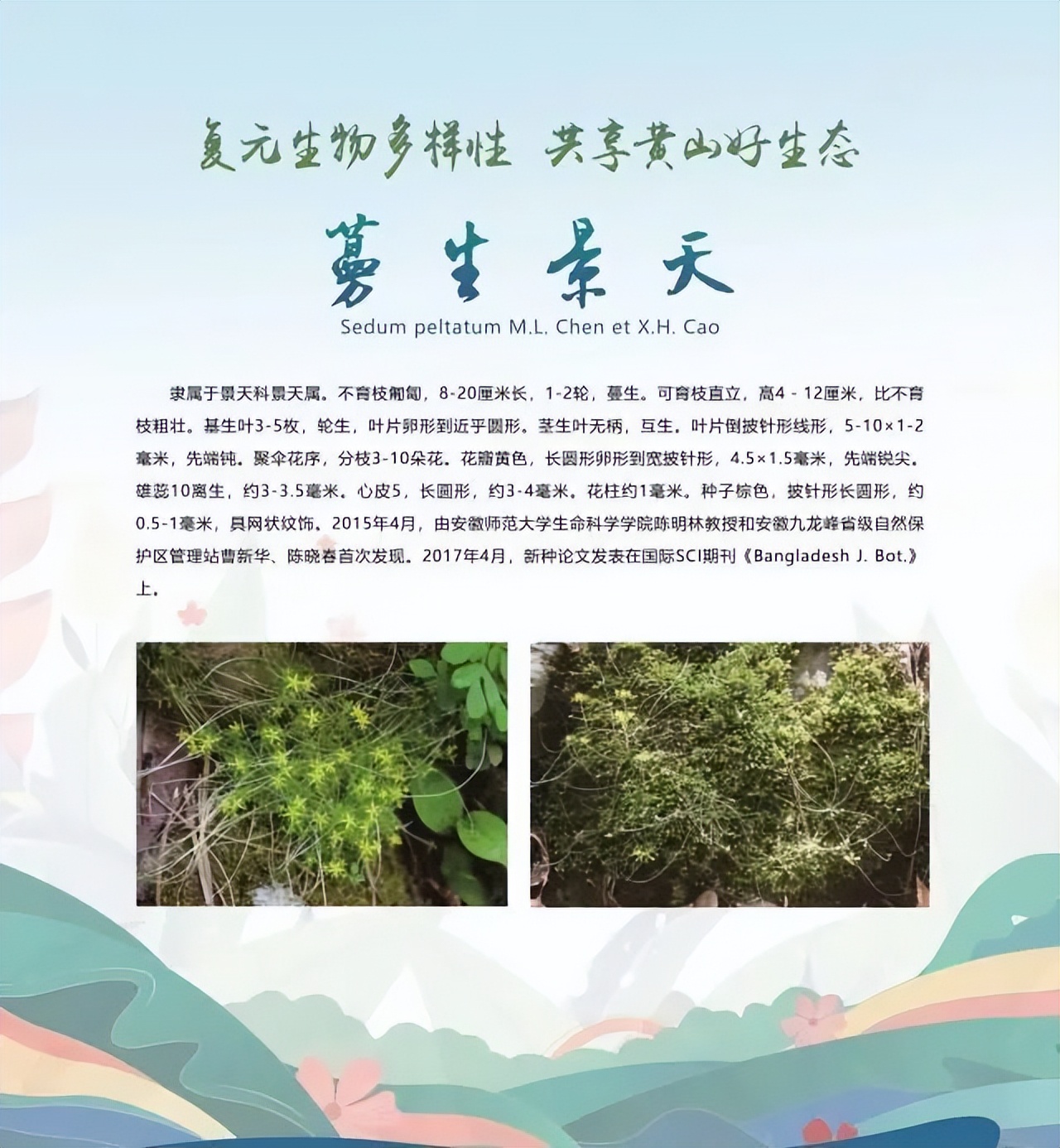 合肥二十种人气美食,合肥好吃的美食排行榜海鲜