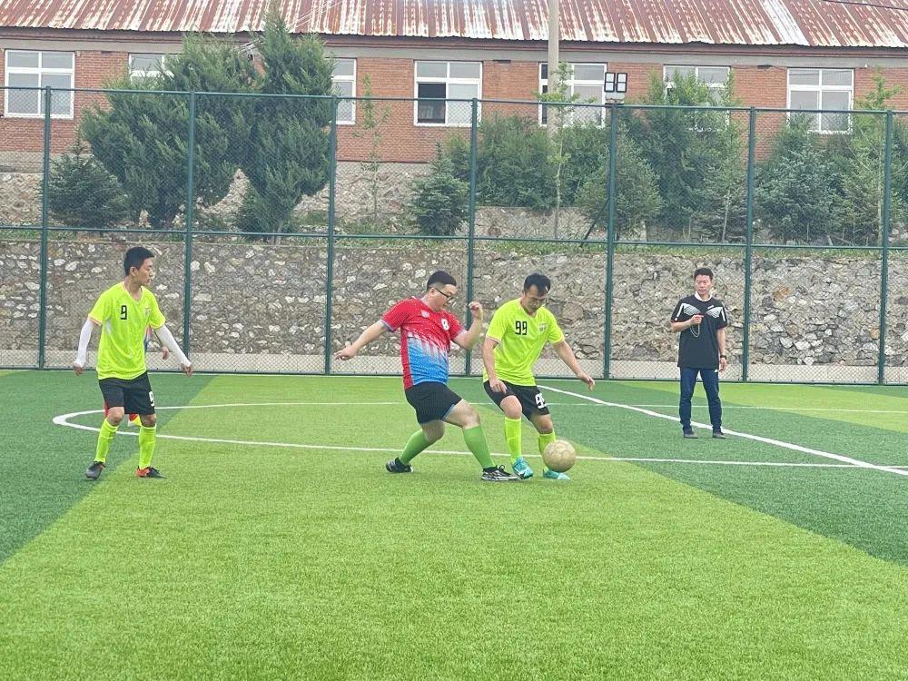 绿茵赛场精彩视频,足球联赛激情开赛