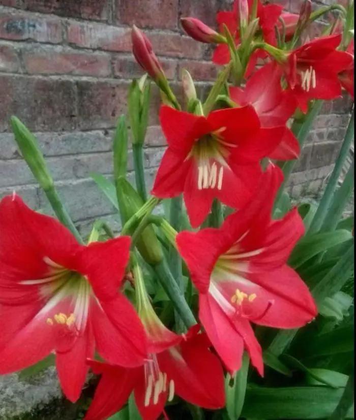 DD成长启示录（九）提高孩子的理解力并不是难事