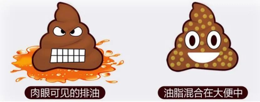 国家获批的减肥药,减肥药中国获批