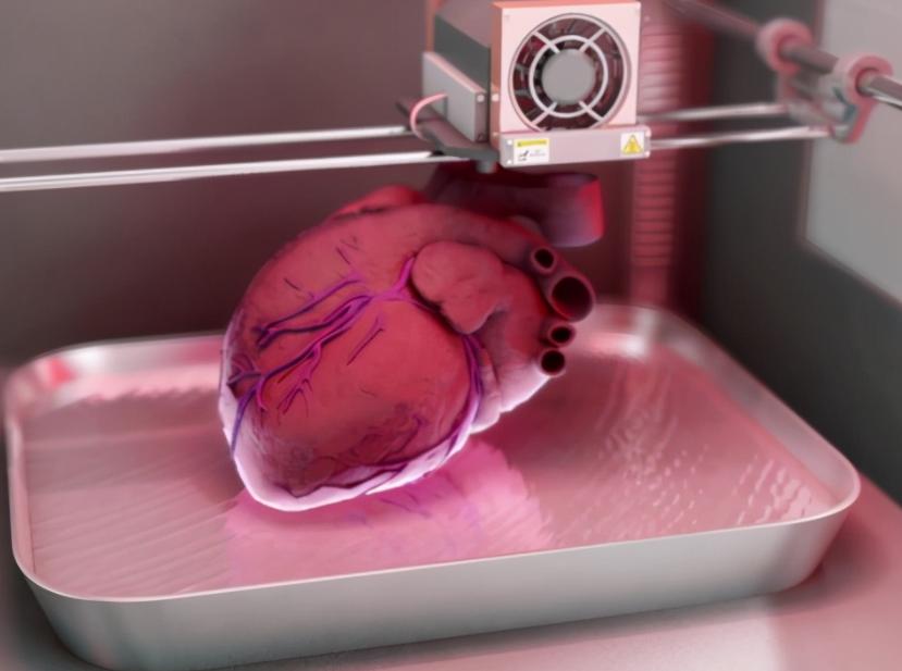 人类动物能混血吗,人类真的能杂交吗