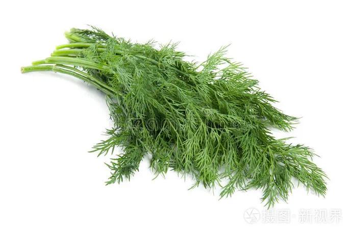 小茴香泡水喝的功效,小茴香的功效作用