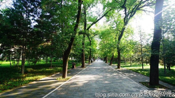 65)战疫·陕：岐山县太平寺塔、周公庙