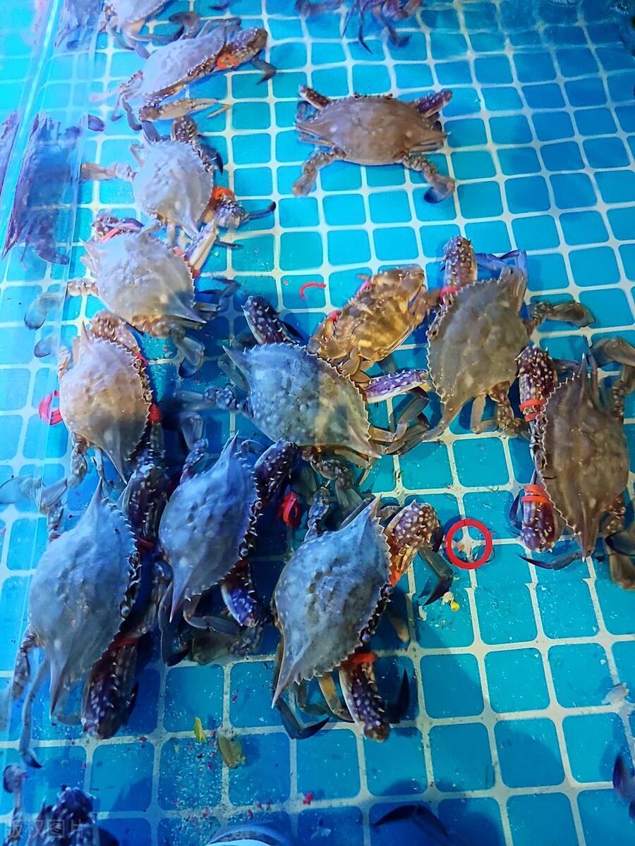 山东有座海滨小城,山东最安静节奏慢的海边小镇