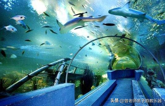 西安亲子游景点大全集,西安游玩攻略景点大全亲子