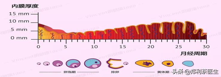 二促三移都没着床,二促三移未着床