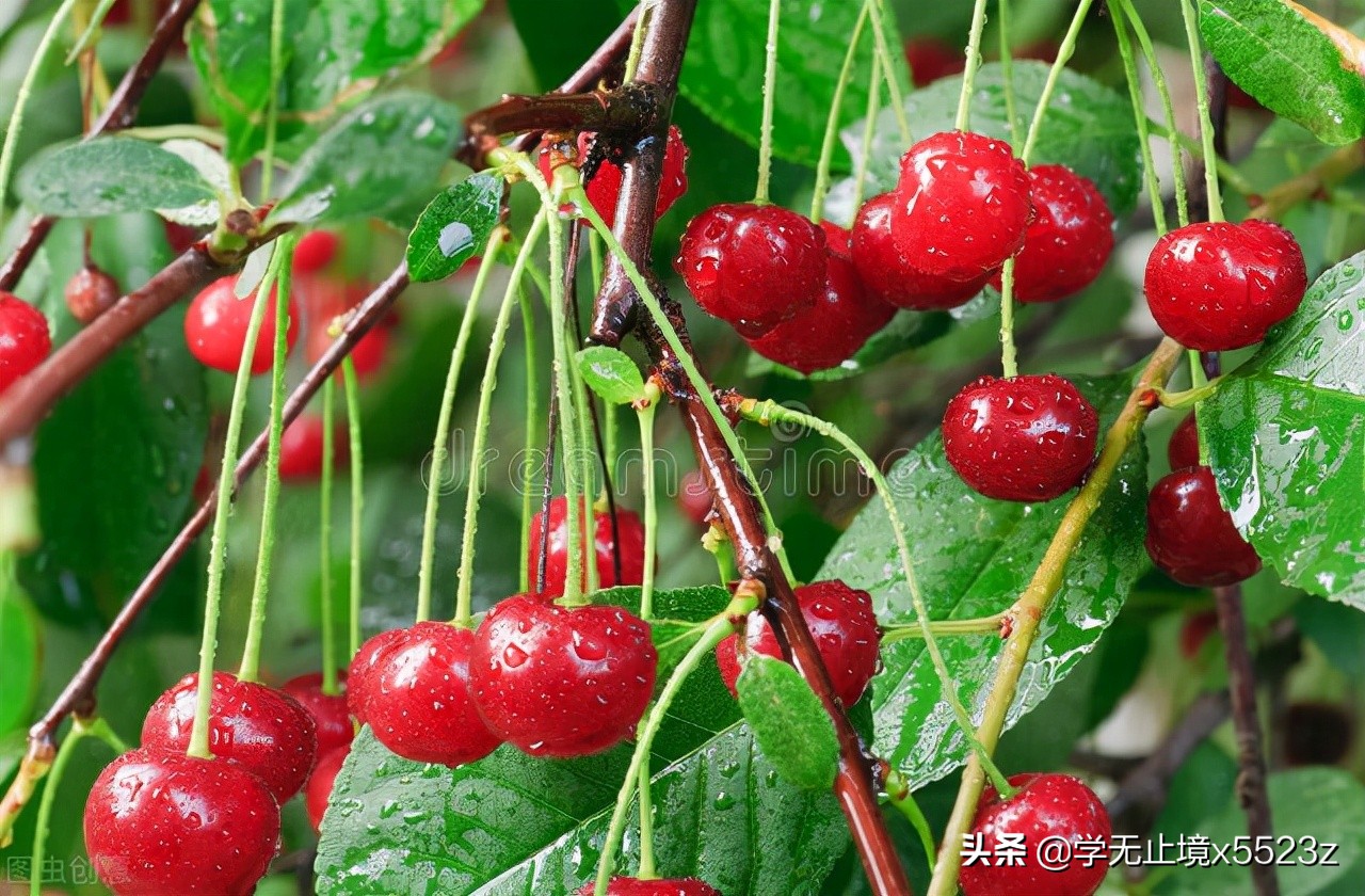 做销售怎么练就一个好的心态,做销售怎样才能见足够多的人