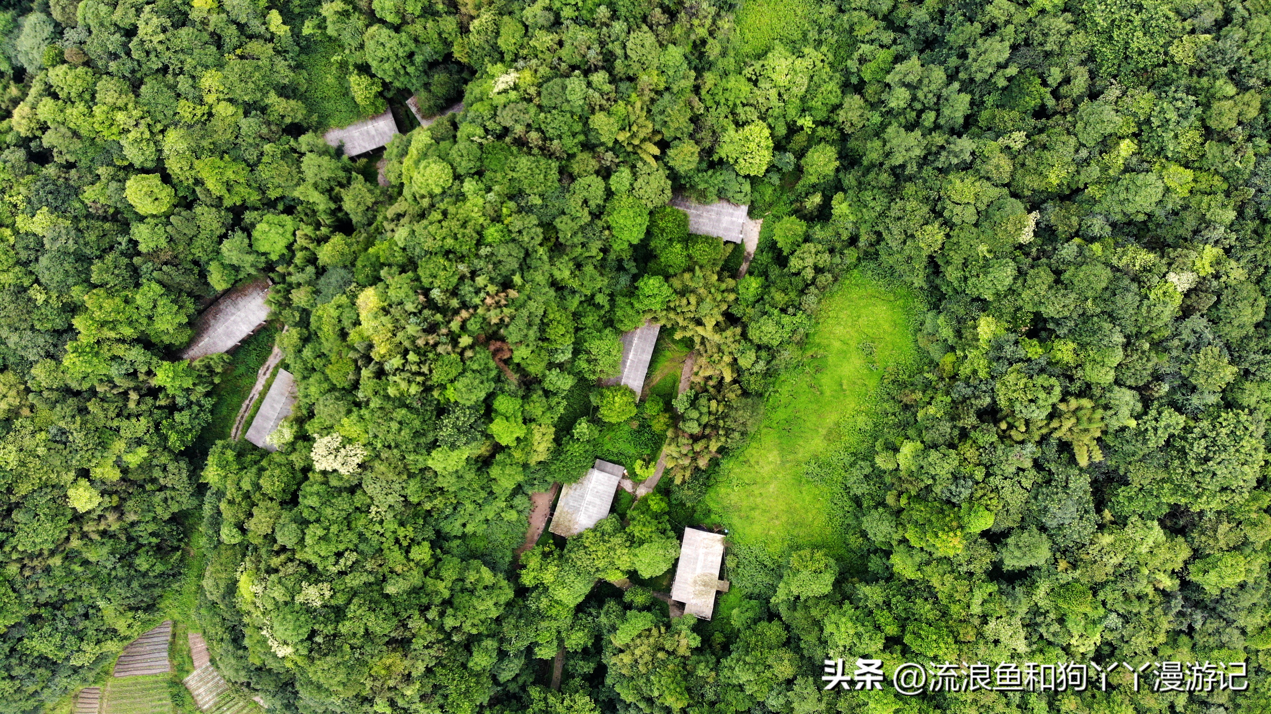四月份成都近郊一日游好去处,2022成都近郊看雪一日游最佳去处