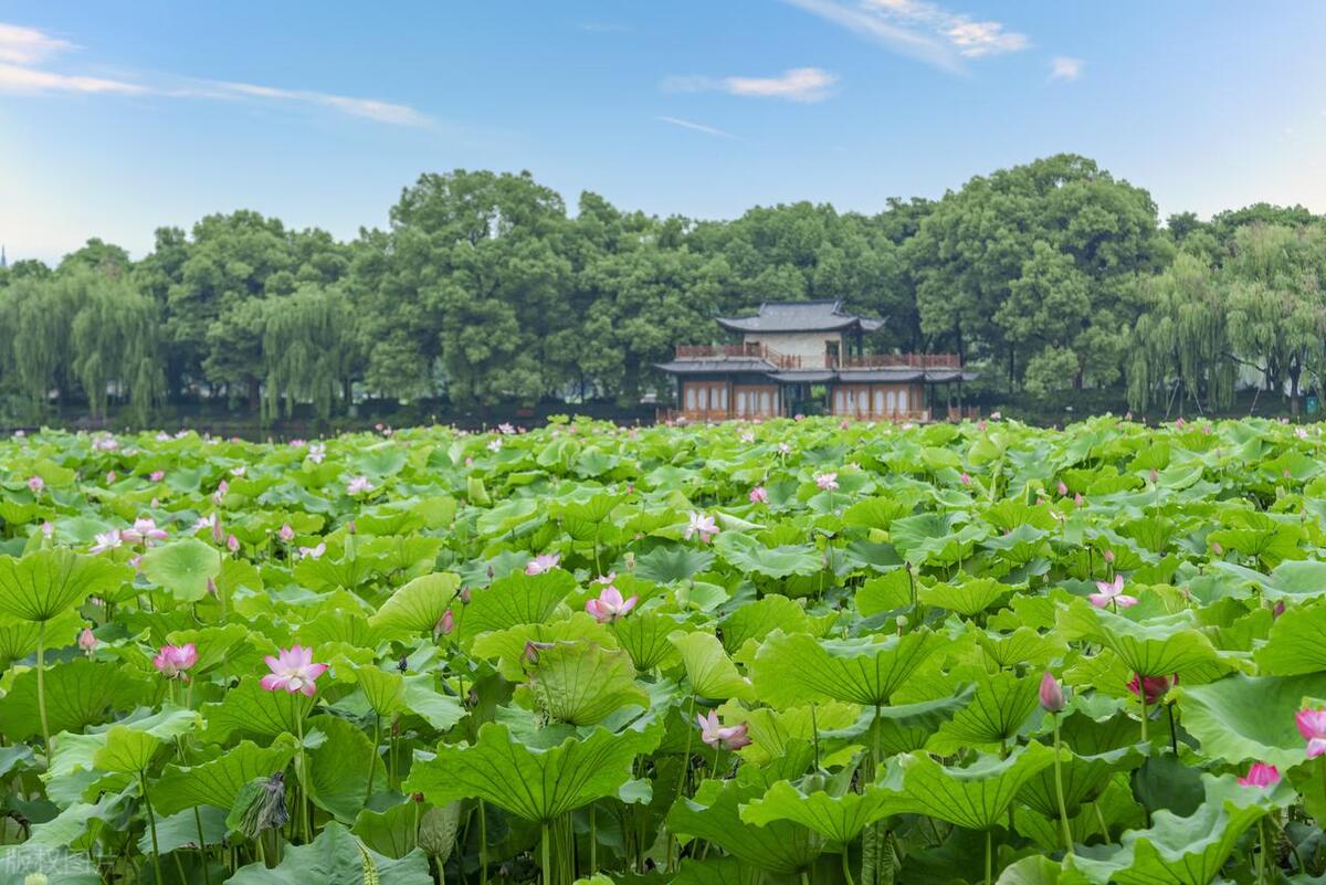 杭州西湖十景地图,杭州西湖十景游玩顺序攻略
