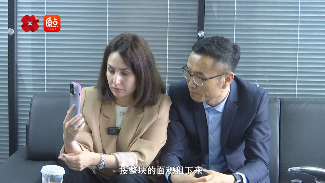 你好我的城,你好我的城在线观看