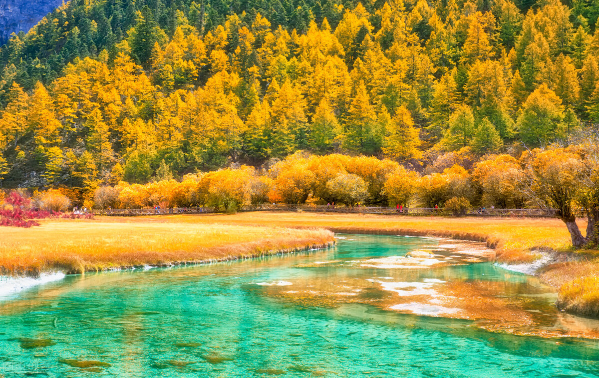 尿频尿痛前列腺炎吃什么中成药,尿频尿急前列腺炎有什么食疗方