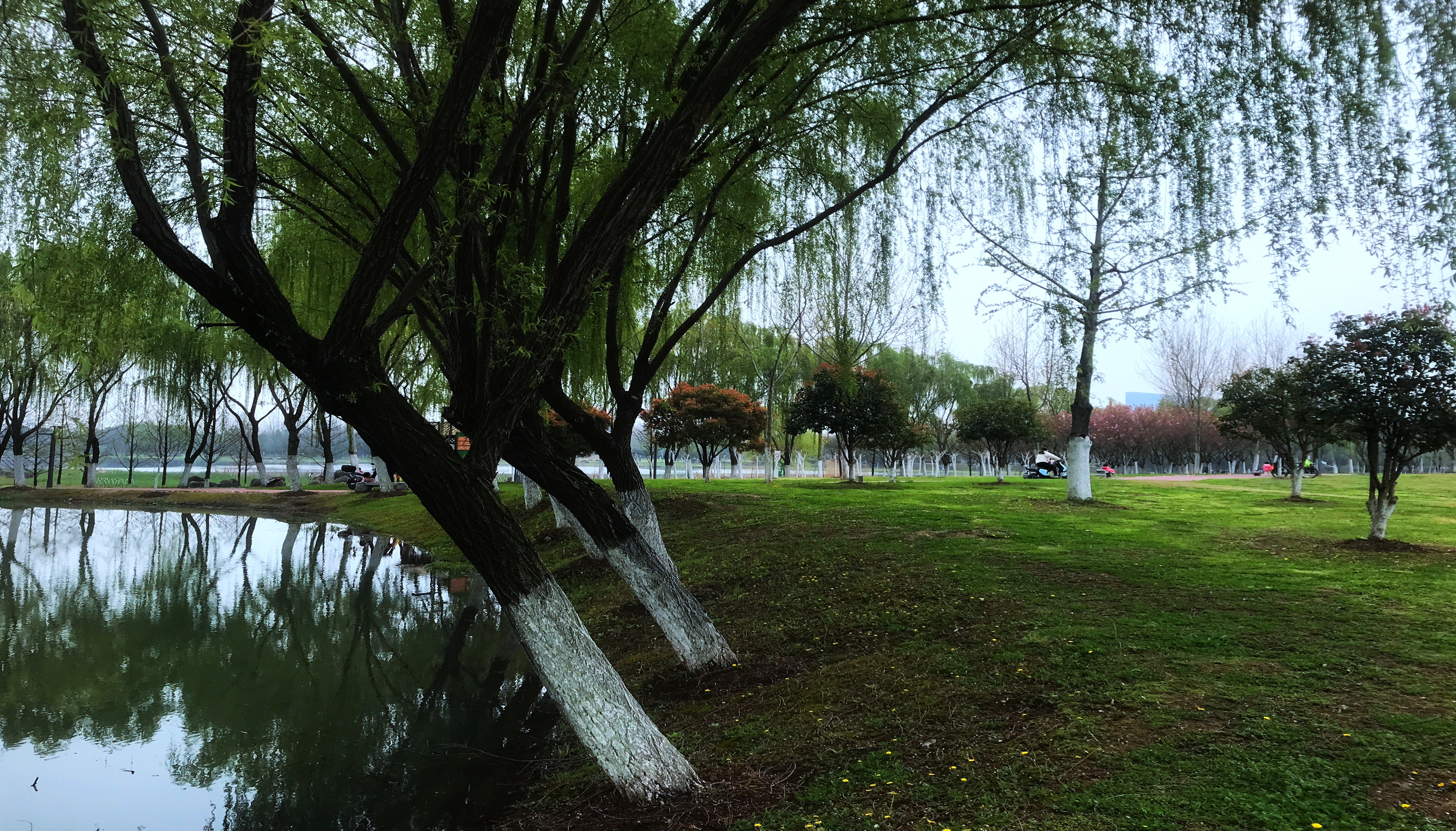 合肥塘西河公园怎么样,合肥塘西河公园的桥