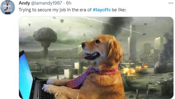 微软亚马逊最新局势,亚马逊和微软复工