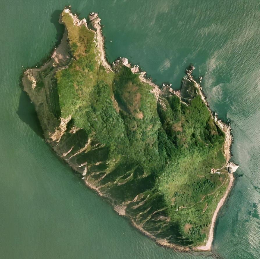 到底是蛇吃老鼠还是老鼠吃蛇,为什么说一只老鼠会被蛇吃