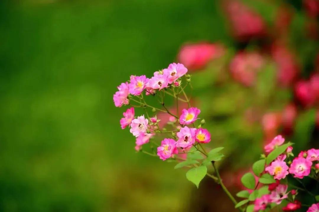 琳琳和朋友的视频,琳琳和她的朋友视频