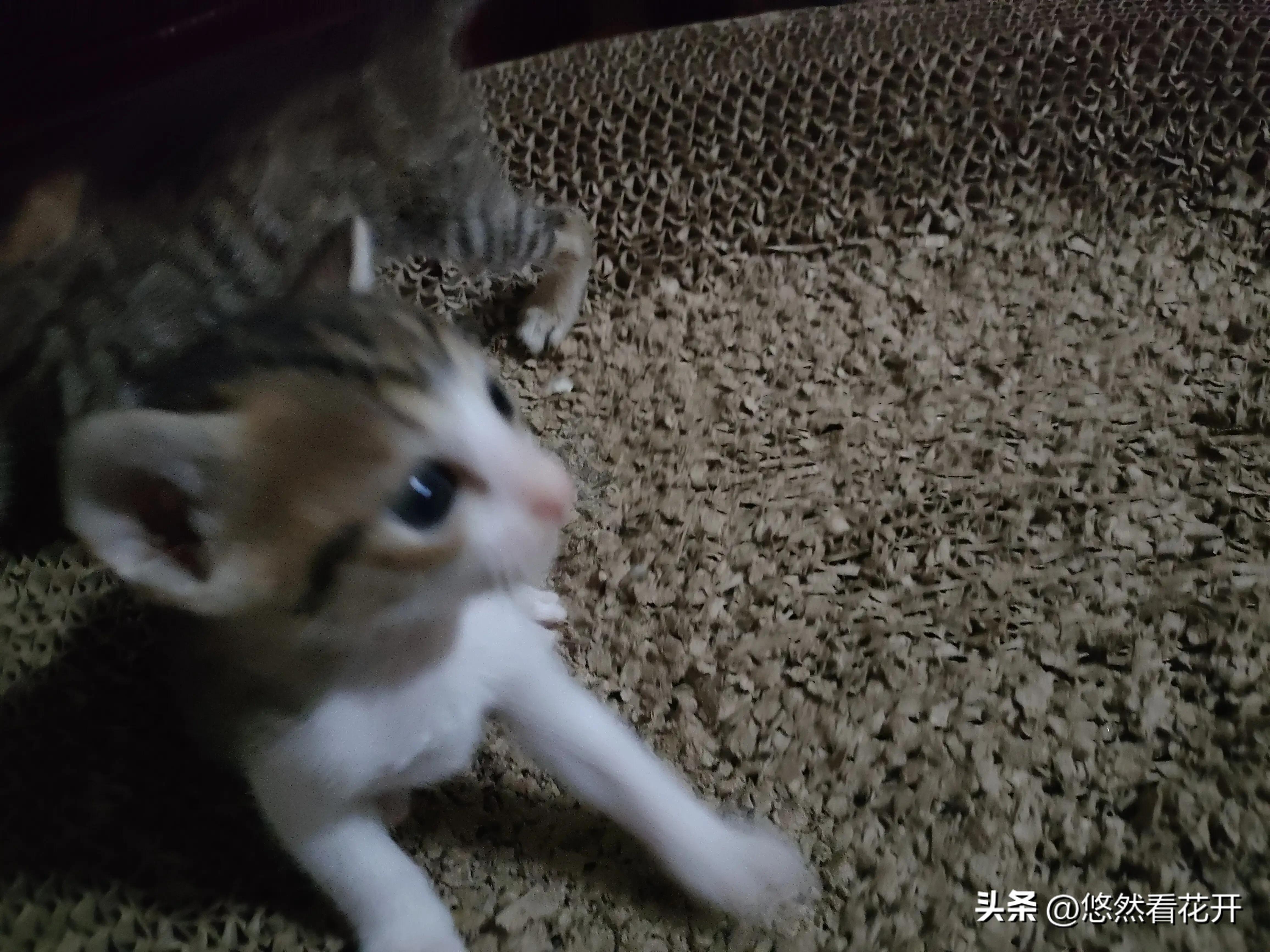 揪心的感觉是什么歌,揪心的感觉需要做什么检查