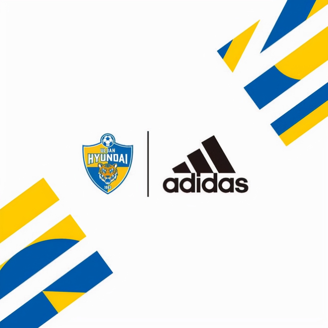 韩足晚报,韩国最新新闻