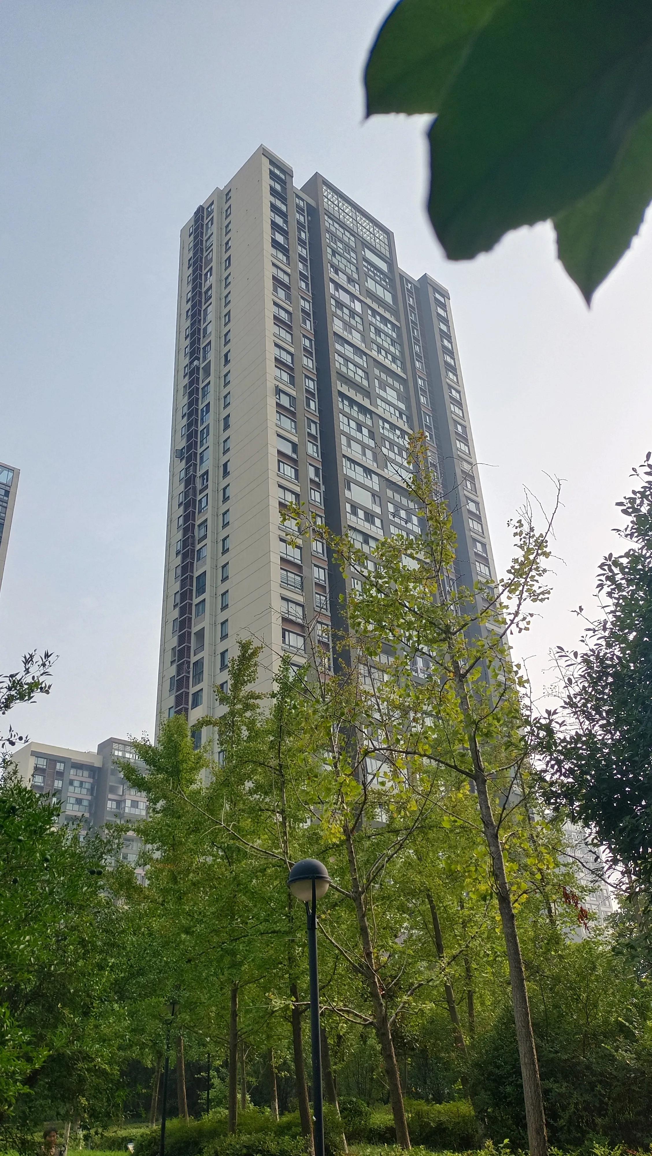 桂枝10克和白芍10克搭配的作用,桂枝防风白芍辛夷花菊花功效