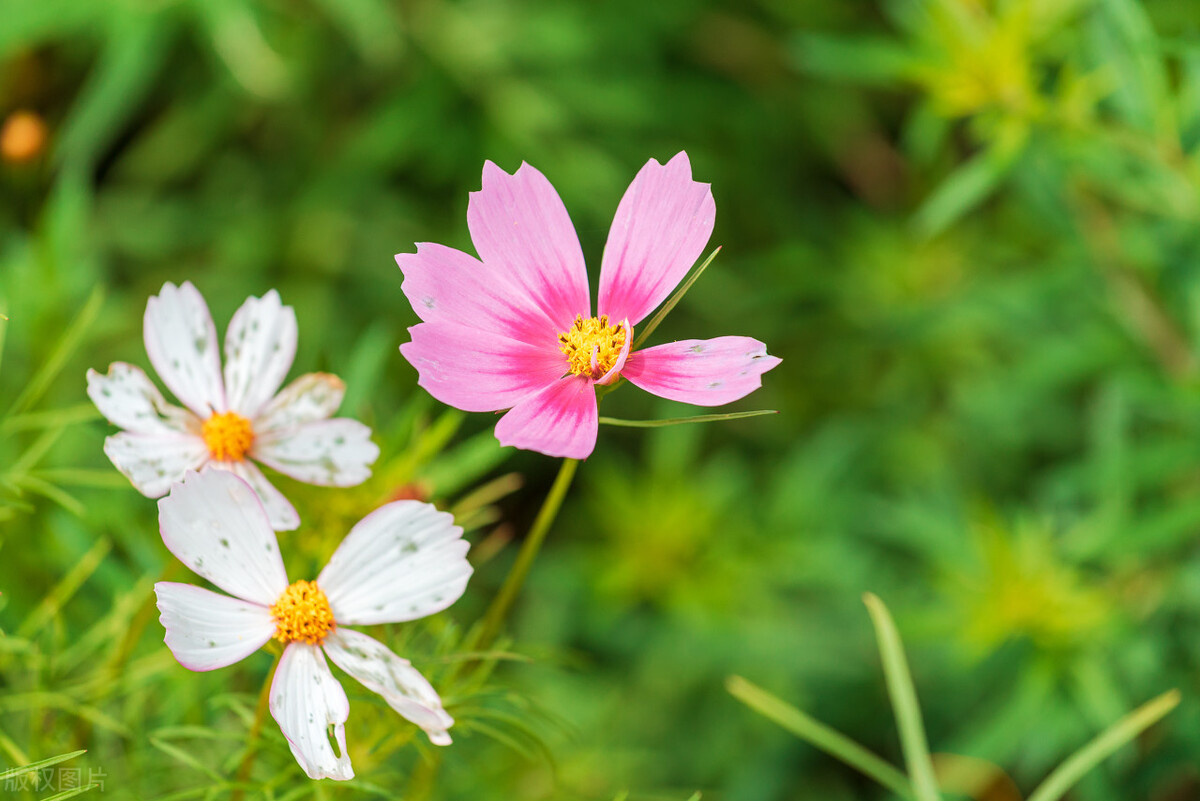 为什么两个人总是关系不好,两个人关系不好说明什么