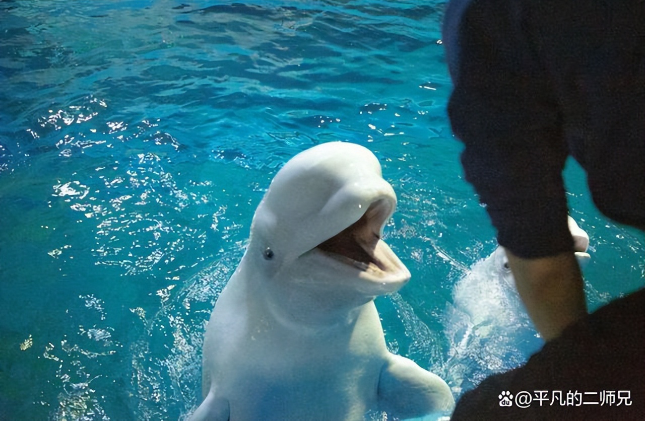 芜湖旅游推荐哪个区好,芜湖算是出名的旅游地点吗