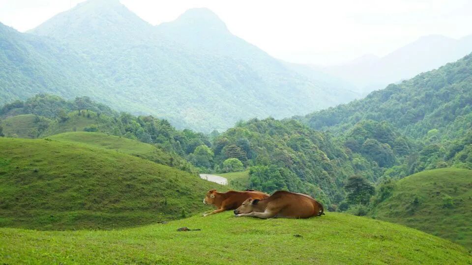 云浮出发湖南湘西详细攻略3天,云浮出发湖南旅游详细攻略3天
