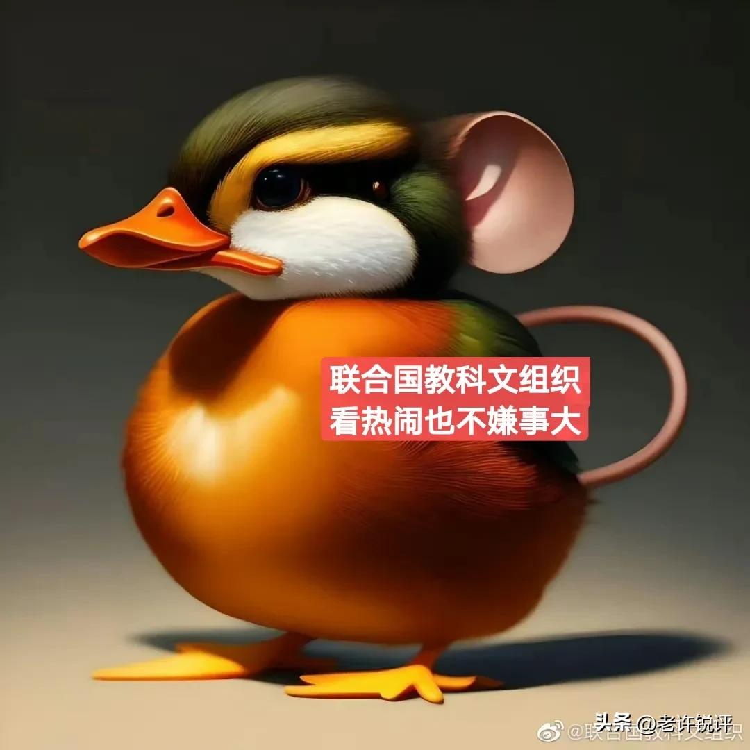 江西发布严查追责,江西省严查追责