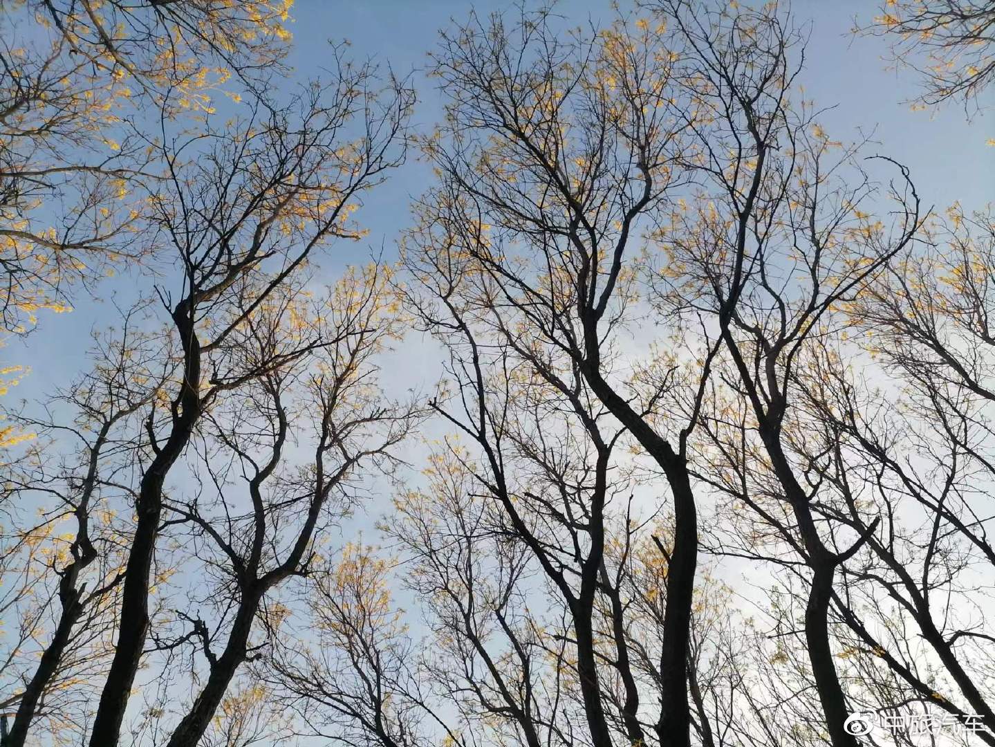 来中旅汽车，发现京城绝美秘境