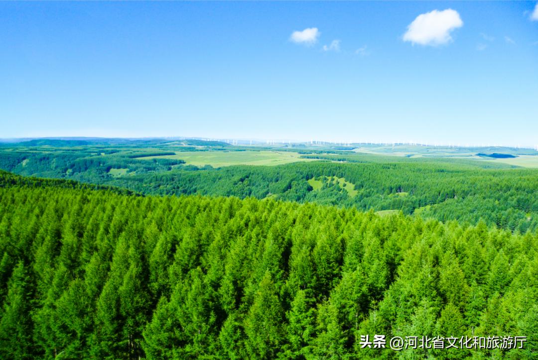 河北五一两天一夜小众宝藏旅行地,河北海边人少小众的宝藏目的地