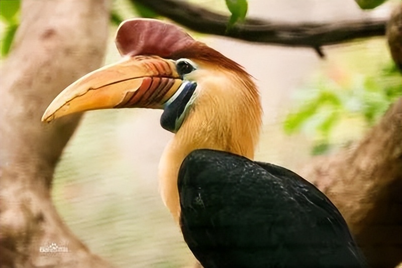 想买但没买违法吗,别买劣质产品的后果