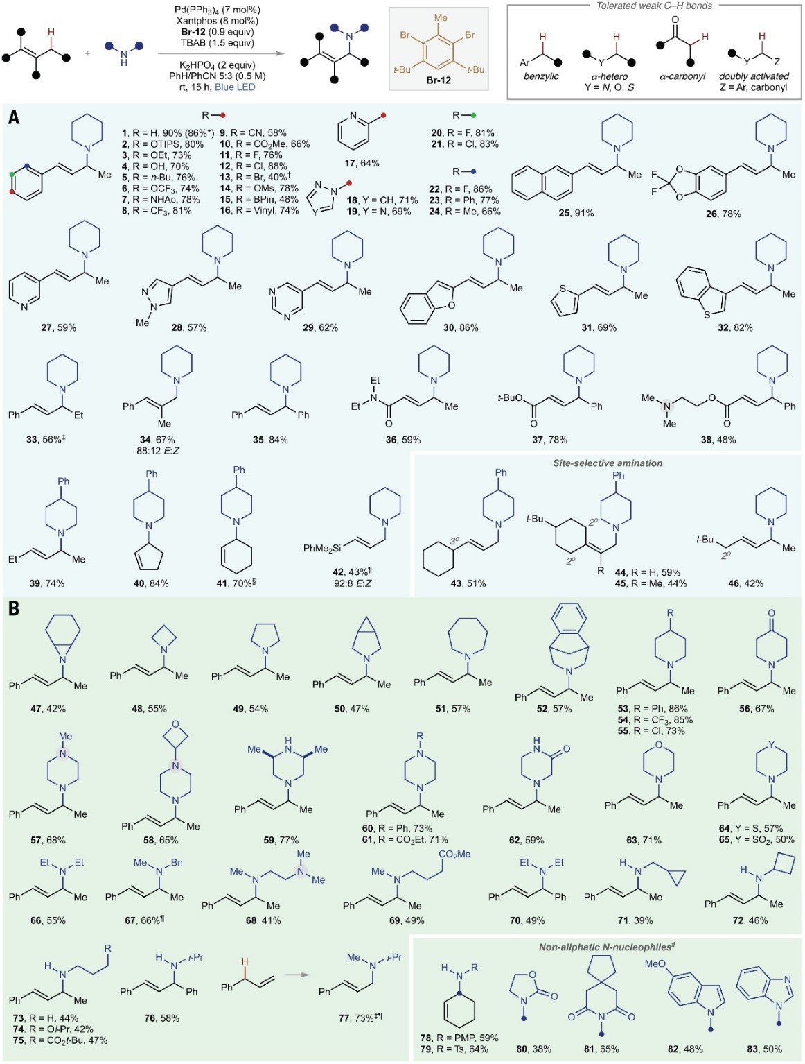 Science：烯丙基C-H键胺化新思路