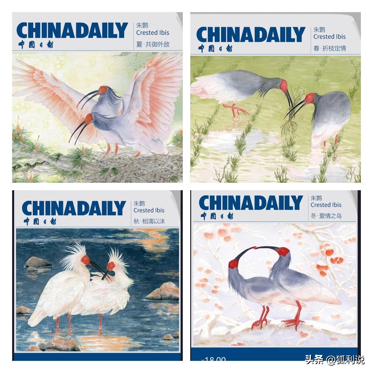 狐利说｜11月22日数字藏品日历分享