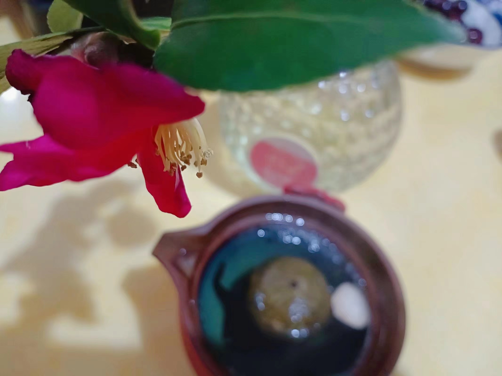 桃李春风一杯酒江湖夜雨十年灯寓意,桃李春风一杯酒江湖夜雨十年灯王志文