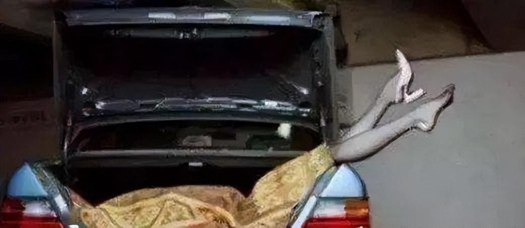 世界十大奇案百科介绍,世界十大奇案之电锯杀人魔