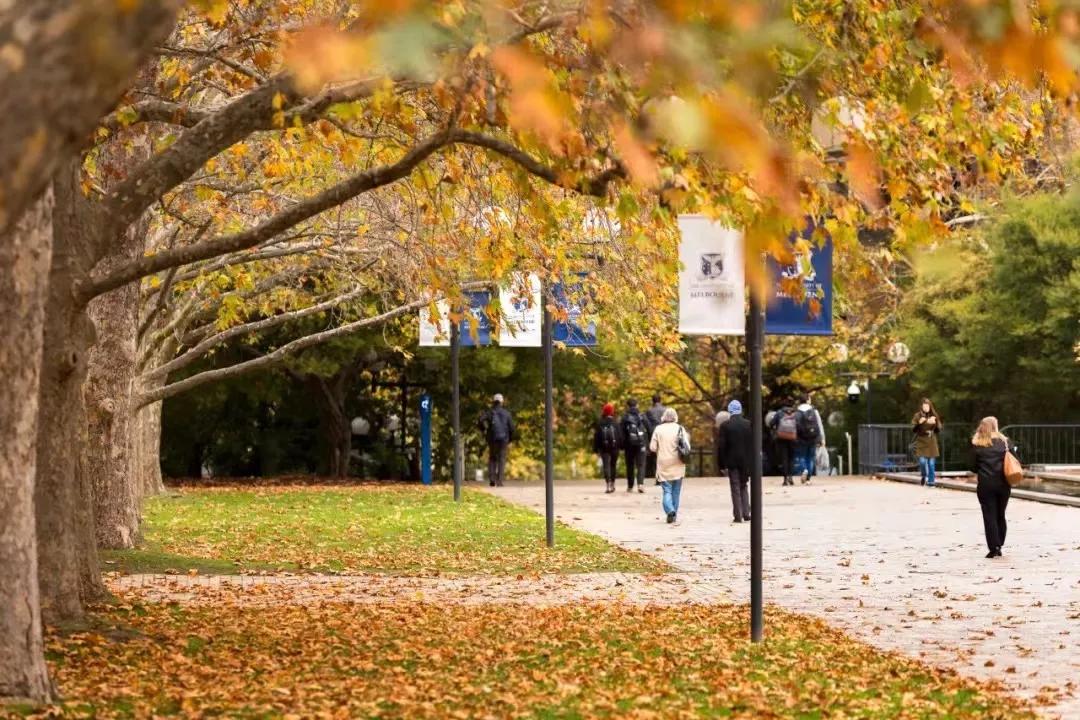 澳洲留学移民专业！墨尔本大学言语病理学硕士介绍+案例